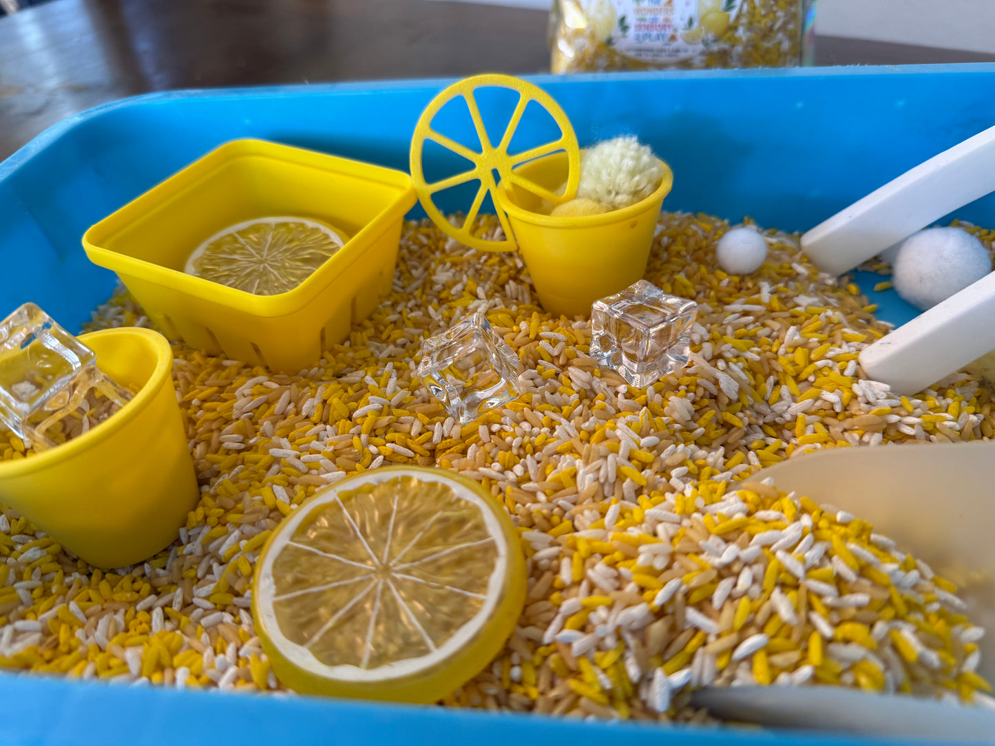 Lemonade Days Pour and Play